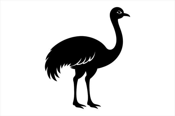 Emu Silhouette Vector Icon: Freebies & Graphics