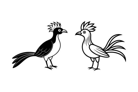 Hoatzin Bird Line Art: Graphics & Print Materials Mockups