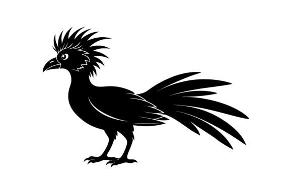 Hoatzin Bird Silhouette: A Designer’s Review