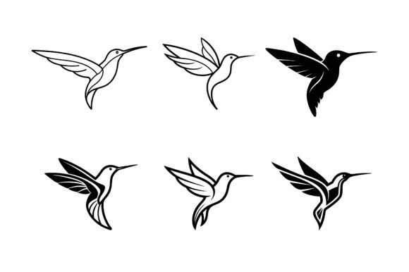 Hummingbird Vector: Graphics & Print Mockups