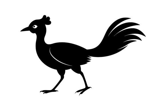 Lyrebird Silhouette: Free Graphics Review